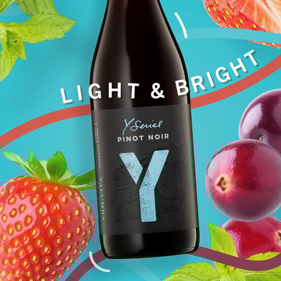 Y Series Pinot Noir Promo Stock image number null