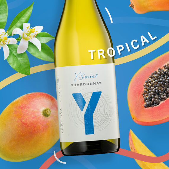 Y Series Chardonnay Promo Stock image number null