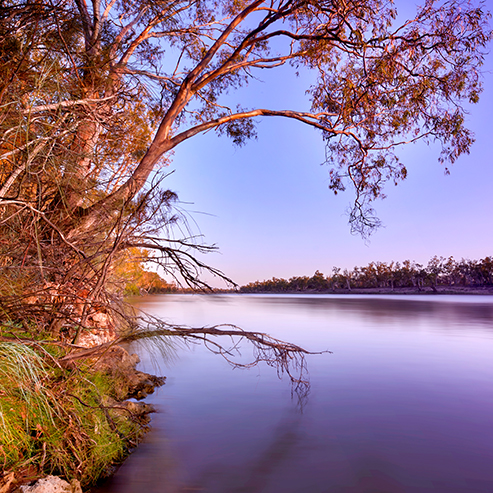 A Day on the River