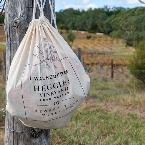 A Guided Walk through the Picturesque Pewsey Vale Vineyard and Heggies Vineyard