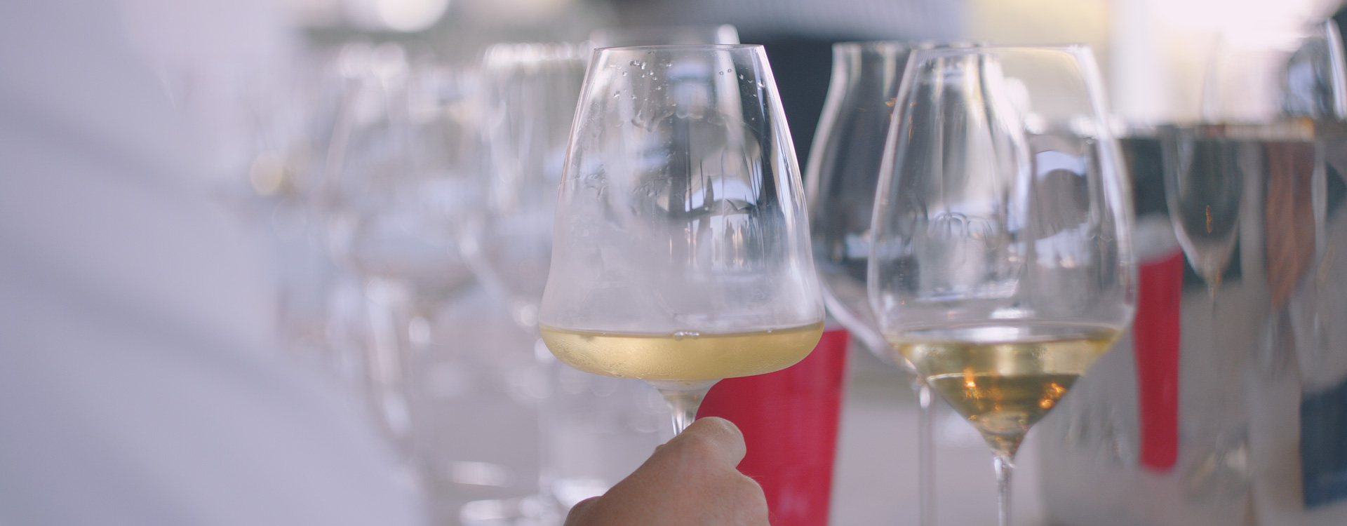 Angus Hughson takes us through our amazing day evaluating sparkling glassware with Maximilian Riedel.