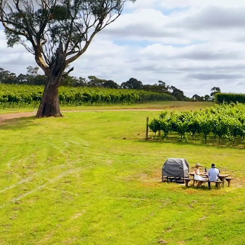 Dalrymple Vigneron Peter Caldwell with Left off the Map Host Holly Bowden in the Dalrymple Vineyard