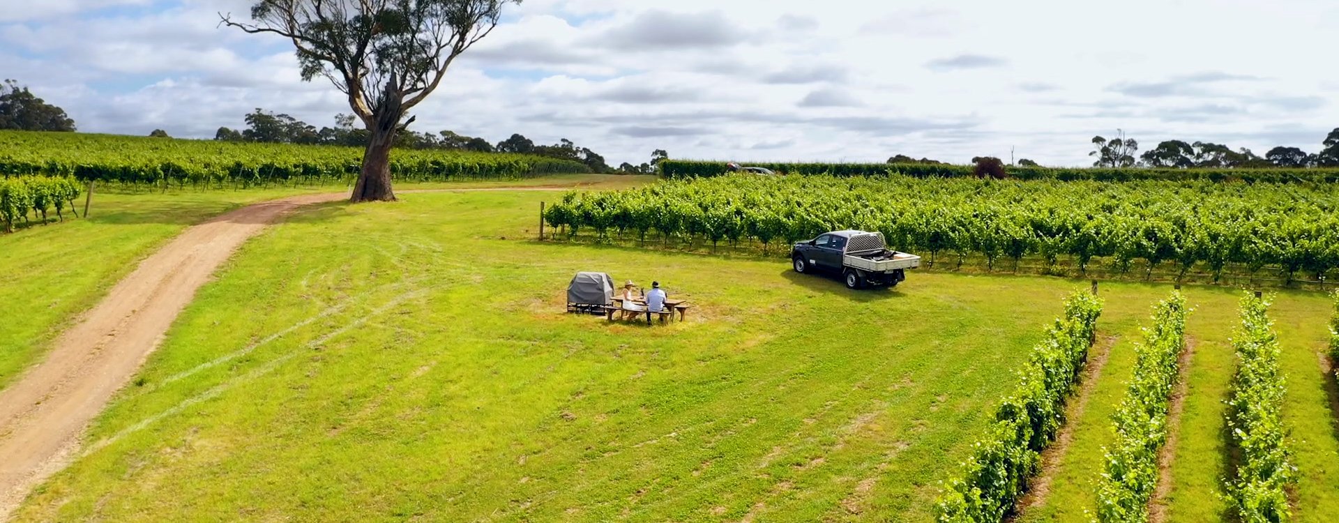 Dalrymple Vigneron Peter Caldwell with Left off the Map Host Holly Bowden in the Dalrymple Vineyard