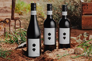 the wines