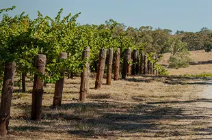 South Australia